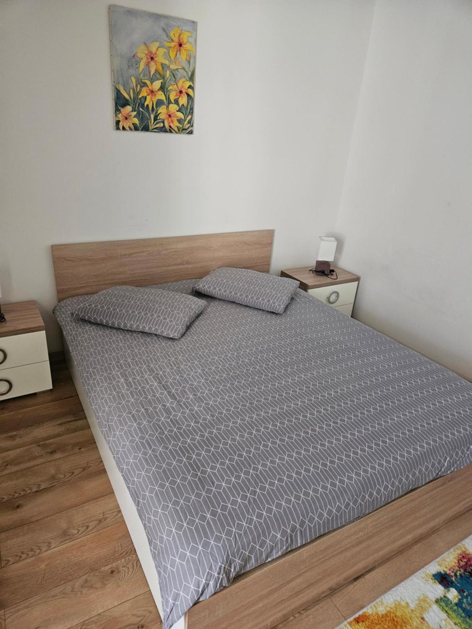 브라쇼브 Casa Gabriela 빌라 외부 사진